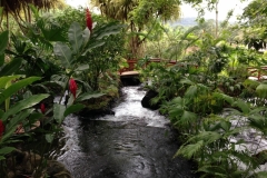 TabaconHotSprings