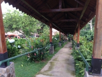 Doka Estate in Costa Rica
