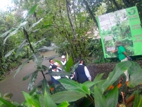 Rainforest in Costa Rica