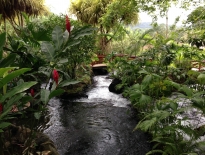 Tabacon Hot Springs