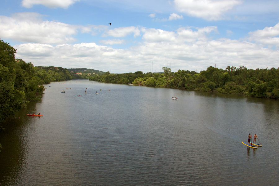 lady bird lake