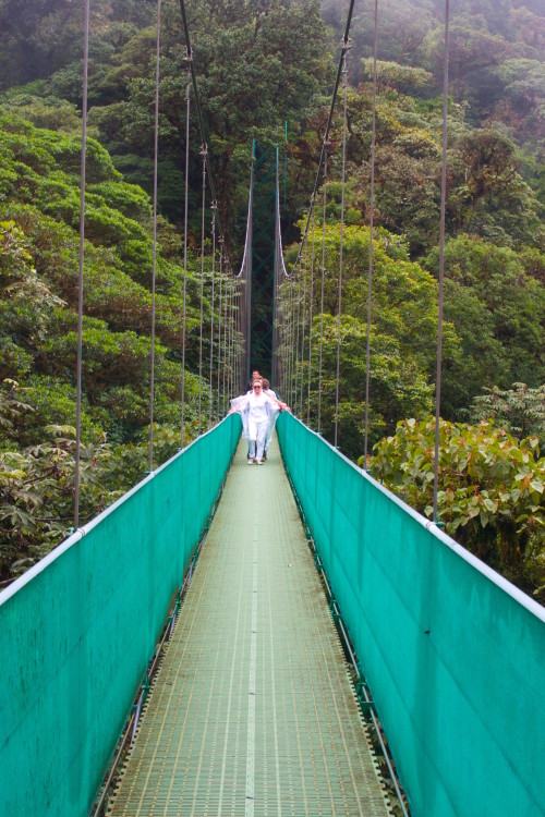 hanging bridges in monteverde
