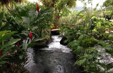 Tabacon Hot Springs in Costa Rica