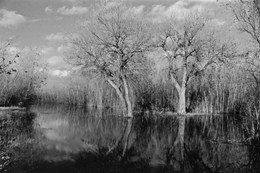 nuevo mexico - landscape