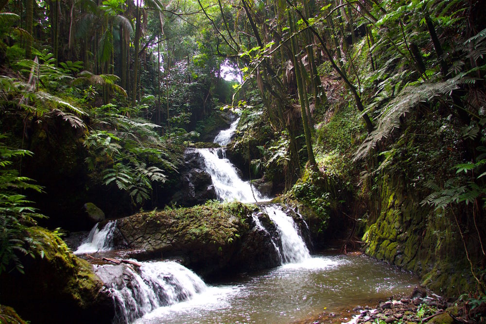 big island, hawái - hilo